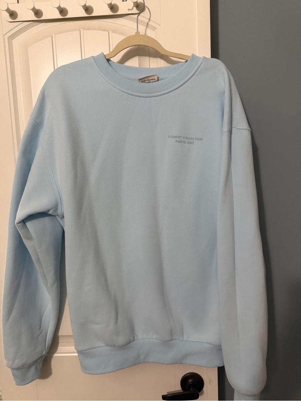 Pastel Blue Crewneck Sweatshirt - Women's